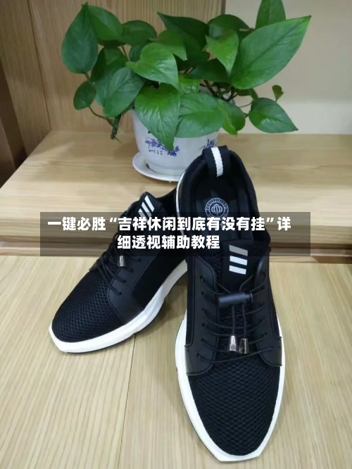 一键必胜“吉祥休闲到底有没有挂”详细透视辅助教程-第1张图片