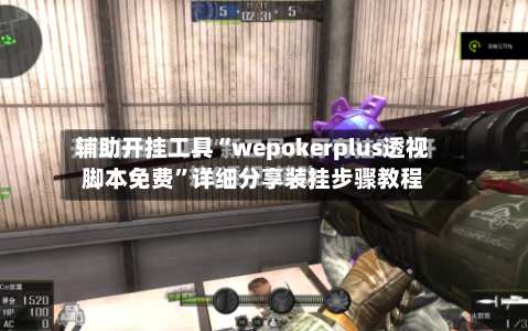 辅助开挂工具“wepokerplus透视脚本免费”详细分享装挂步骤教程-第2张图片