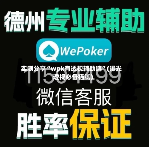 实测分享“wpk有透视辅助嘛”(曝光透视必备猫腻)-第2张图片