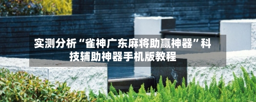 实测分析“雀神广东麻将助赢神器”科技辅助神器手机版教程-第2张图片