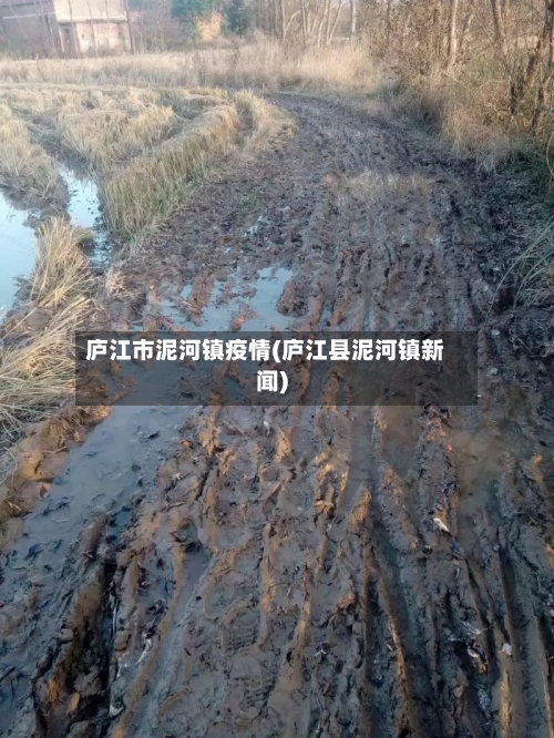 庐江市泥河镇疫情(庐江县泥河镇新闻)-第2张图片