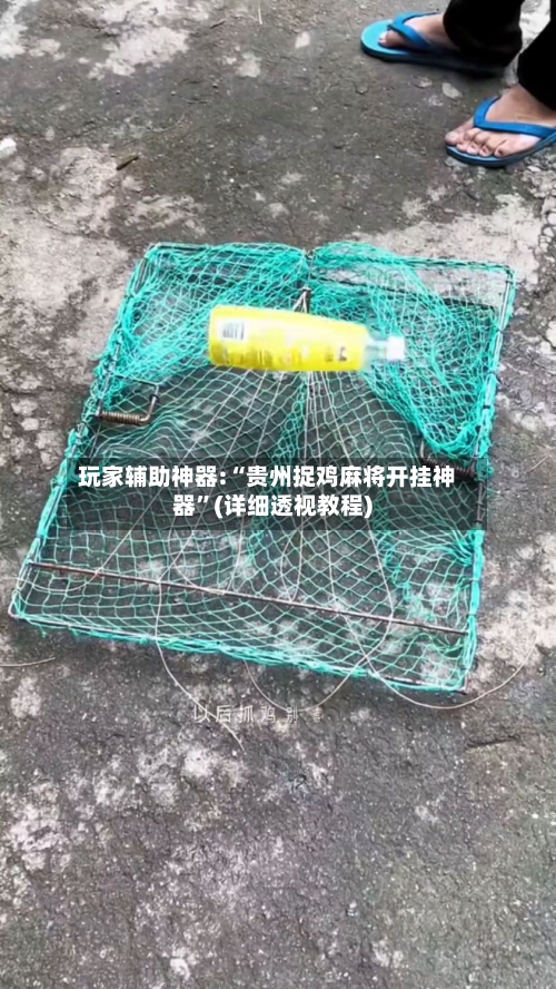 玩家辅助神器:“贵州捉鸡麻将开挂神器”(详细透视教程)-第2张图片