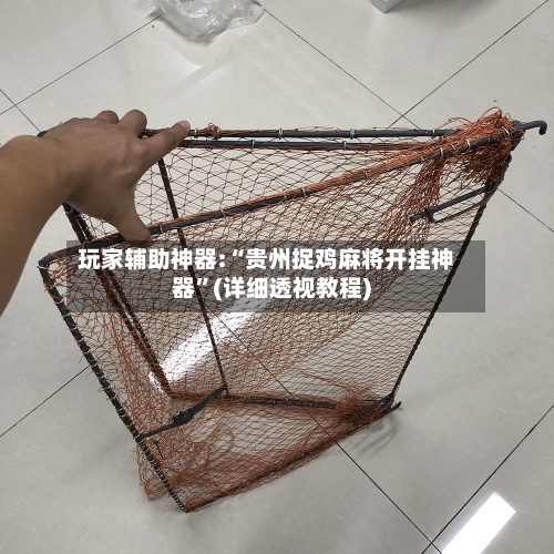 玩家辅助神器:“贵州捉鸡麻将开挂神器	”(详细透视教程)-第1张图片