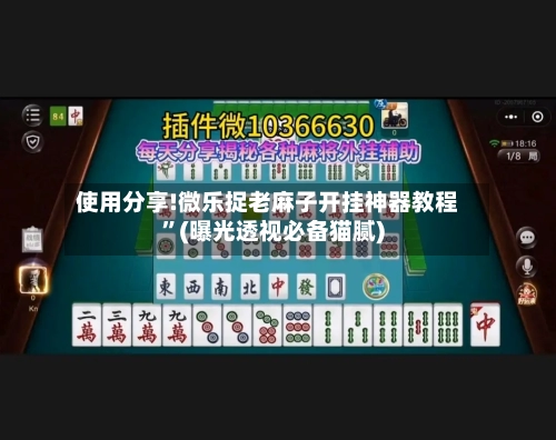使用分享!微乐捉老麻子开挂神器教程”(曝光透视必备猫腻)-第3张图片