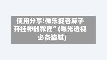使用分享!微乐捉老麻子开挂神器教程	”(曝光透视必备猫腻)-第1张图片
