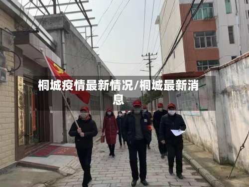 桐城疫情最新情况/桐城最新消息-第1张图片