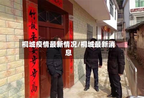 桐城疫情最新情况/桐城最新消息-第2张图片