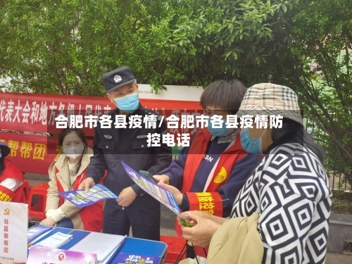 合肥市各县疫情/合肥市各县疫情防控电话-第3张图片