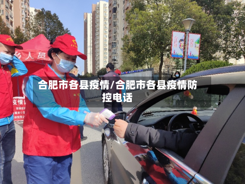 合肥市各县疫情/合肥市各县疫情防控电话-第2张图片