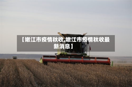 【嫩江市疫情秋收,嫩江市疫情秋收最新消息】-第2张图片