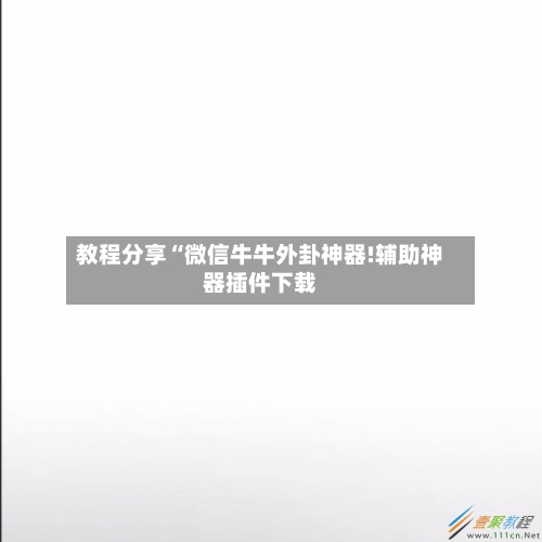 教程分享“微信牛牛外卦神器!辅助神器插件下载-第3张图片