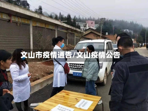 文山市疫情通告/文山疫情公告-第1张图片