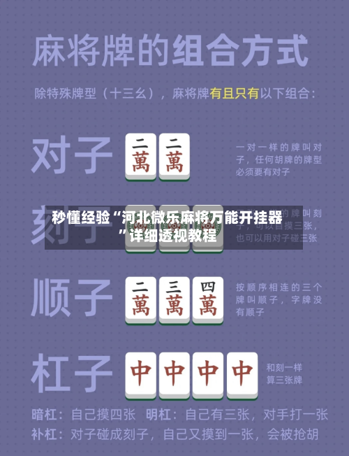 秒懂经验“河北微乐麻将万能开挂器”详细透视教程-第3张图片