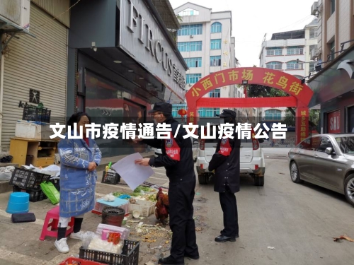 文山市疫情通告/文山疫情公告-第3张图片