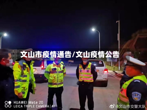 文山市疫情通告/文山疫情公告-第2张图片