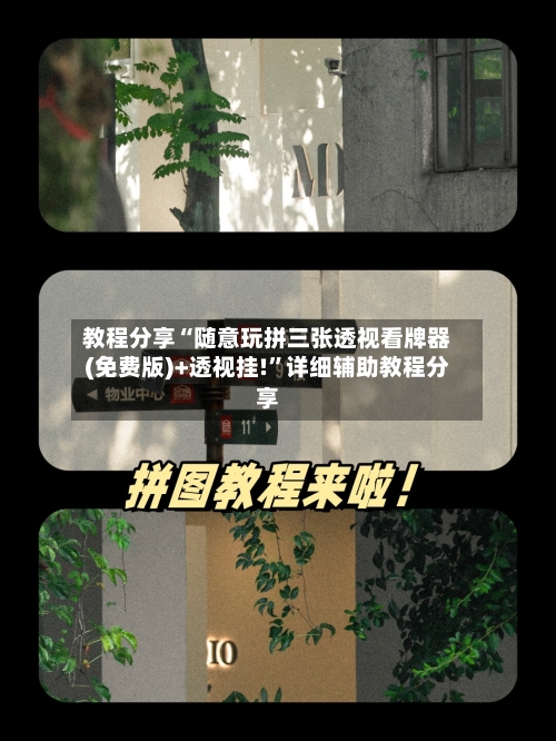 教程分享“随意玩拼三张透视看牌器(免费版)+透视挂!”详细辅助教程分享-第3张图片