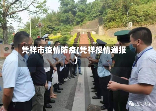 凭祥市疫情防疫(凭祥役情通报)-第2张图片