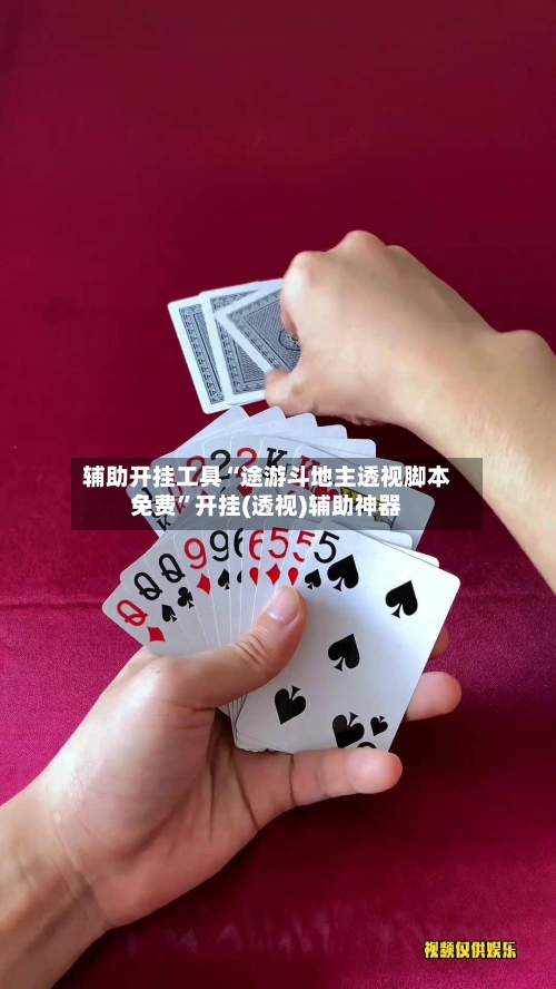 辅助开挂工具“途游斗地主透视脚本免费	”开挂(透视)辅助神器-第2张图片