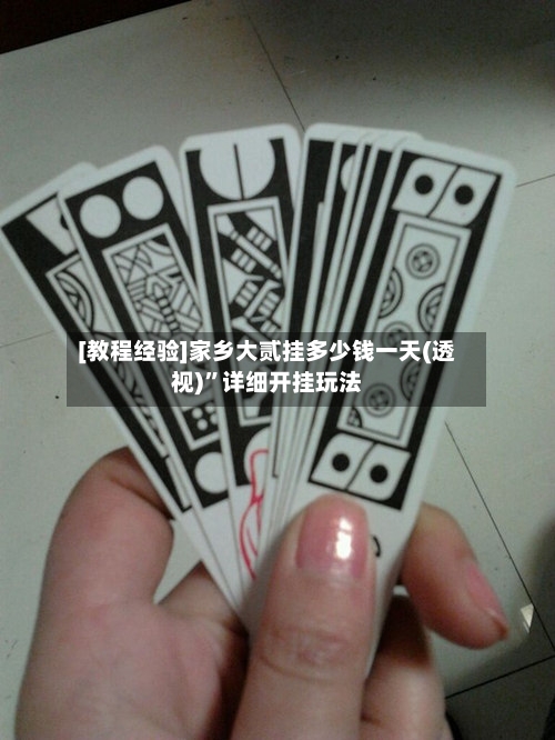 [教程经验]家乡大贰挂多少钱一天(透视)	”详细开挂玩法-第2张图片