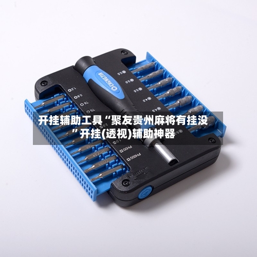 开挂辅助工具“聚友贵州麻将有挂没	”开挂(透视)辅助神器-第3张图片