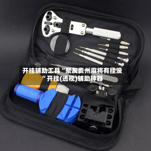开挂辅助工具“聚友贵州麻将有挂没”开挂(透视)辅助神器-第1张图片