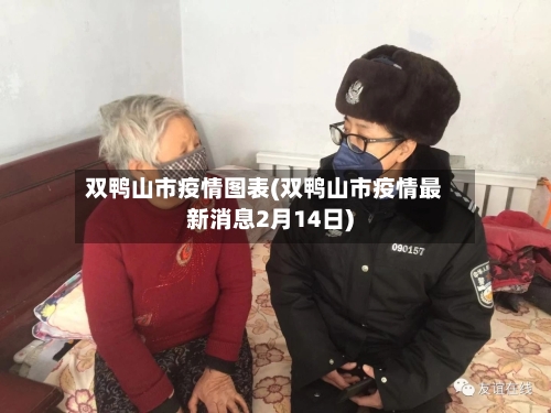 双鸭山市疫情图表(双鸭山市疫情最新消息2月14日)-第1张图片