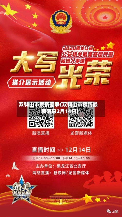 双鸭山市疫情图表(双鸭山市疫情最新消息2月14日)-第2张图片