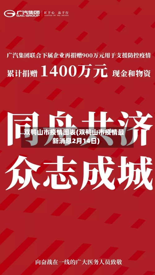 双鸭山市疫情图表(双鸭山市疫情最新消息2月14日)-第3张图片