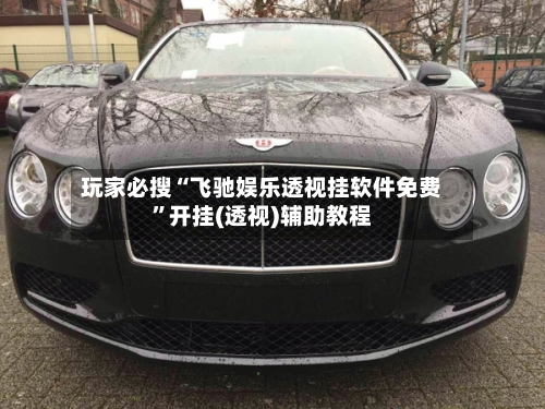 玩家必搜“飞驰娱乐透视挂软件免费	”开挂(透视)辅助教程-第2张图片