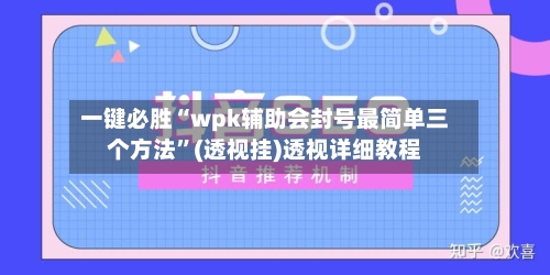一键必胜“wpk辅助会封号最简单三个方法”(透视挂)透视详细教程-第3张图片