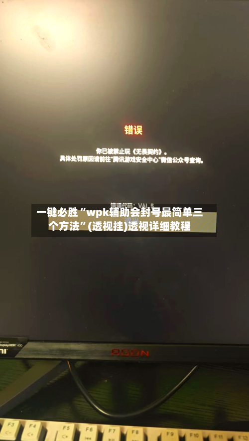 一键必胜“wpk辅助会封号最简单三个方法”(透视挂)透视详细教程-第2张图片