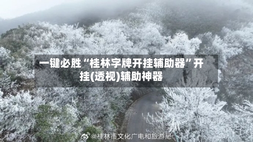 一键必胜“桂林字牌开挂辅助器”开挂(透视)辅助神器-第1张图片