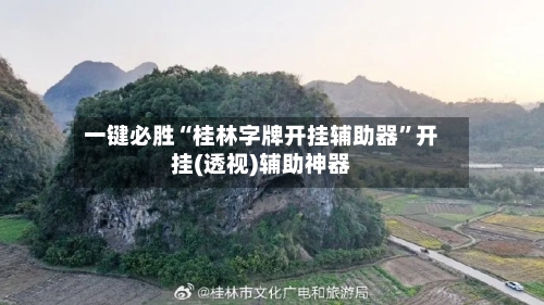 一键必胜“桂林字牌开挂辅助器	”开挂(透视)辅助神器-第3张图片