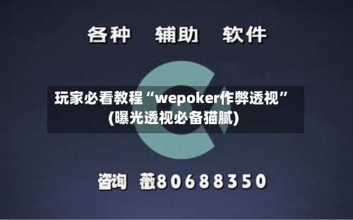 玩家必看教程“wepoker作弊透视	”(曝光透视必备猫腻)-第2张图片