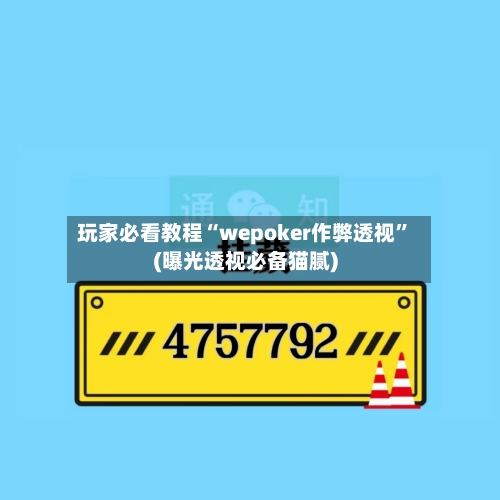 玩家必看教程“wepoker作弊透视”(曝光透视必备猫腻)-第1张图片