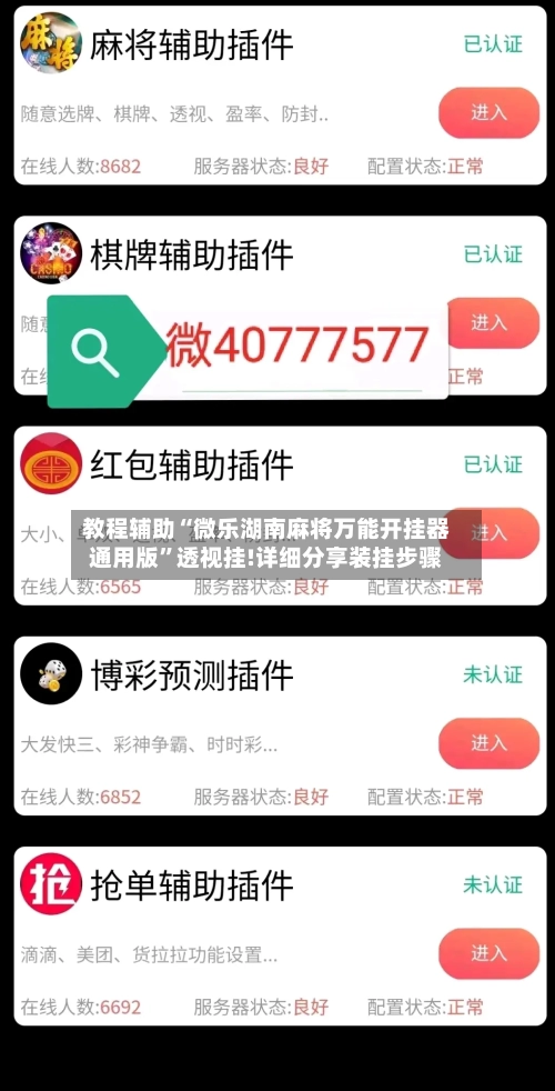 教程辅助“微乐湖南麻将万能开挂器通用版	”透视挂!详细分享装挂步骤-第2张图片