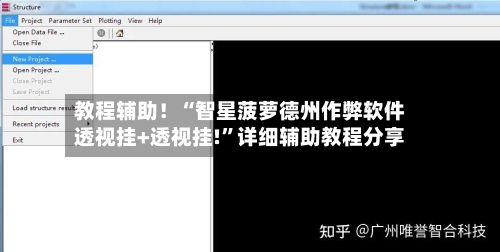 教程辅助！“智星菠萝德州作弊软件透视挂+透视挂!”详细辅助教程分享-第2张图片