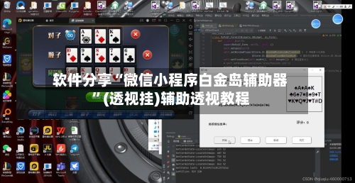 软件分享“微信小程序白金岛辅助器	”(透视挂)辅助透视教程-第2张图片