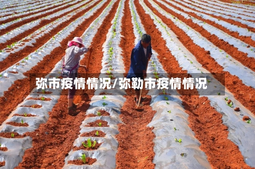 弥市疫情情况/弥勒市疫情情况-第1张图片