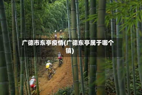 广德市东亭疫情(广德东亭属于哪个镇)-第2张图片