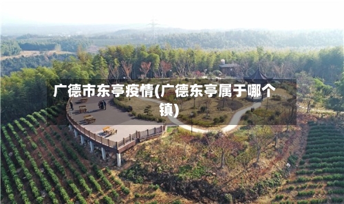 广德市东亭疫情(广德东亭属于哪个镇)-第3张图片