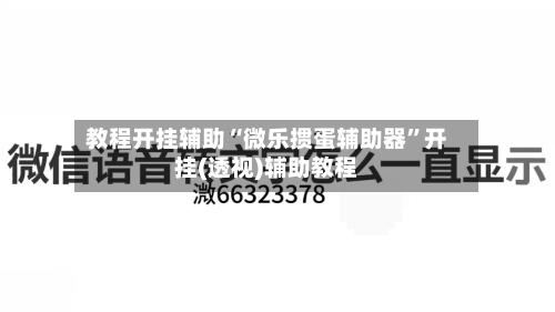 教程开挂辅助“微乐掼蛋辅助器	”开挂(透视)辅助教程-第2张图片