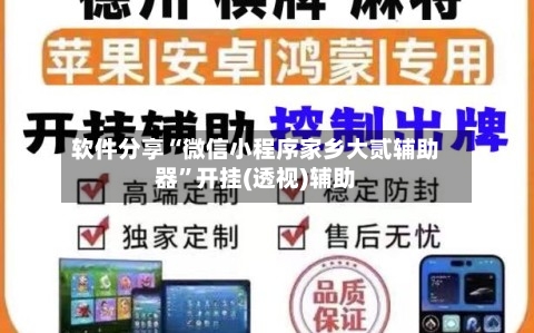 软件分享“微信小程序家乡大贰辅助器”开挂(透视)辅助-第3张图片