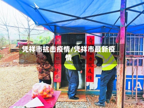 凭祥市抗击疫情/凭祥市最新疫情-第3张图片