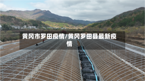 黄冈市罗田疫情/黄冈罗田县最新疫情-第1张图片