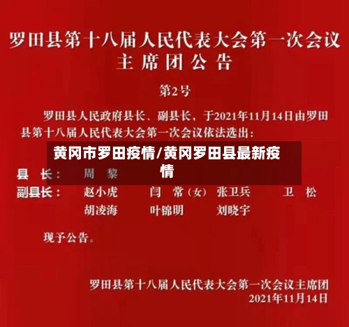 黄冈市罗田疫情/黄冈罗田县最新疫情-第2张图片