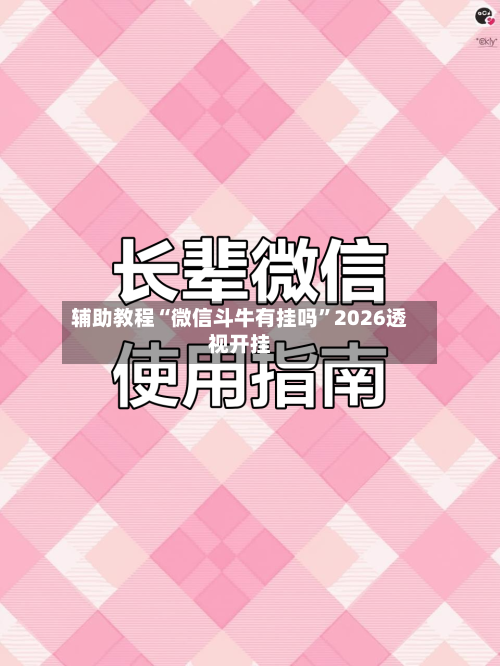 辅助教程“微信斗牛有挂吗	”2026透视开挂-第3张图片