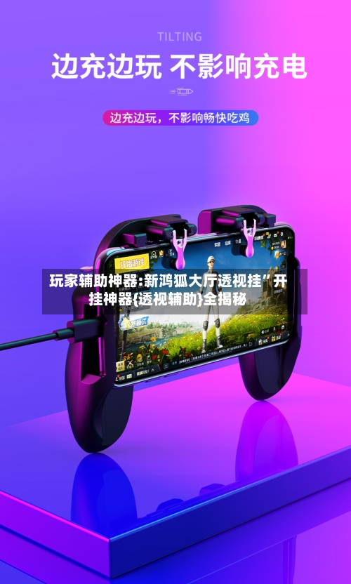 玩家辅助神器:新鸿狐大厅透视挂	”开挂神器{透视辅助}全揭秘-第1张图片