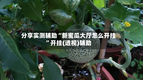 分享实测辅助“新蜜瓜大厅怎么开挂”开挂(透视)辅助-第1张图片