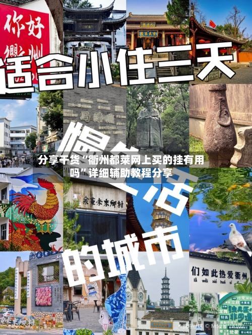 分享干货“衢州都莱网上买的挂有用吗	”详细辅助教程分享-第1张图片